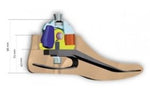 Dynastep + Multi-Axis Ankle + Malleolar Clip KIT - PROTEOR shop